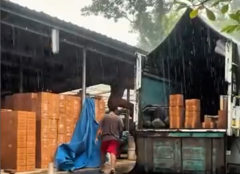 Pengiriman Sukses Bata Tempel Serabut Kelapa 23cm x 5,5cm – Cek Kualitas & Tips Pemasangan Terbaik!